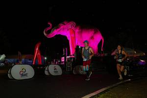 BIB: 
                            <button type="button" onclick="openModal(26543202)" class="btn btn-primary btn-sm float-right btn-popup" data-toggle="modal" data-target=".modal-high-quality">
                        <i class="fas fa-shopping-cart"></i> Add to Cart
                    </button>
                                            <button type="button" onclick="isThisMe(26543202, true)" class="btn btn-success btn-sm float-right btn-popup btn-isme hidden" data-toggle="tooltip" data-placement="bottom" title="นี่คือรูปของคุณใช่ไหม คลิกที่นี่เพื่อเอาเข้าอัลบั้ม">
                        <i class="fas fa-plus"></i> Add to album
                    </button>
                    <button type="button" onclick="isThisMe(26543202, false)" class="btn btn-warning btn-sm float-right btn-popup btn-isnotme hidden">
                        <i class="fas fa-ban"></i> Remove from album
                    </button>